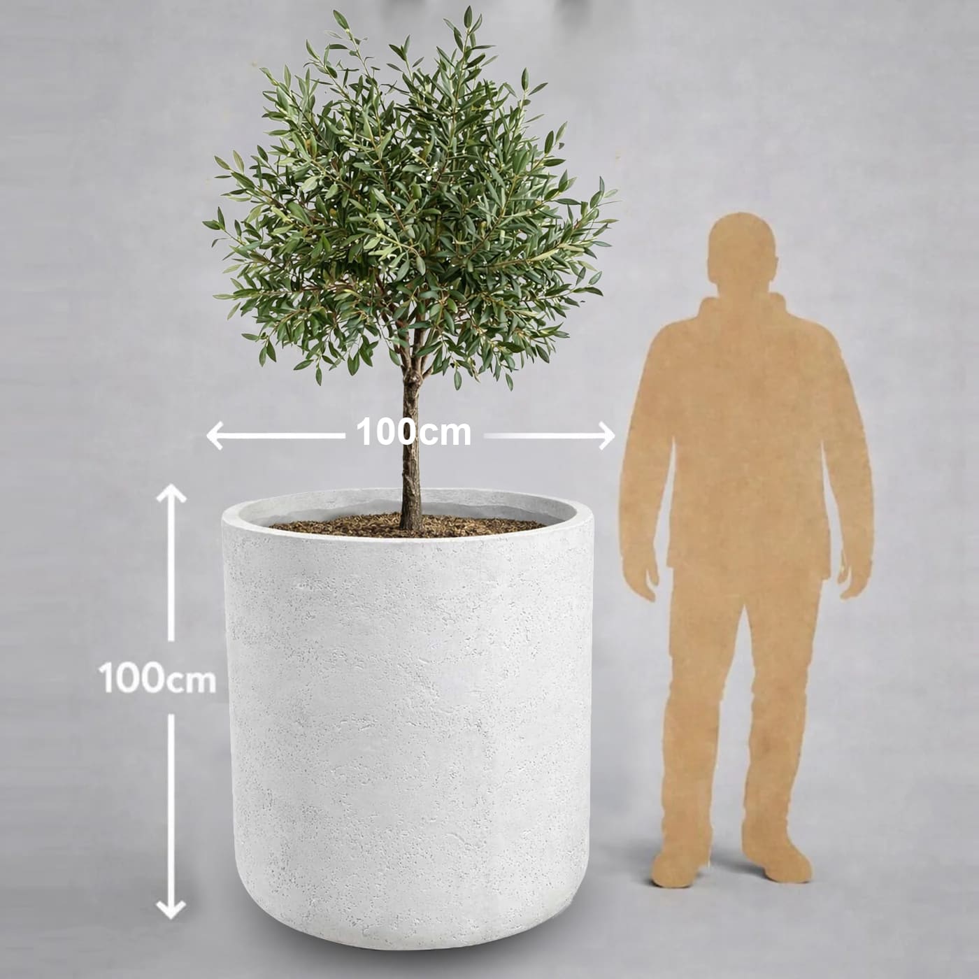 Aurella | White Mist – 100cm XXL Concrete Cylinder Planter – 621L Round Plant Pot - Pots & Plants