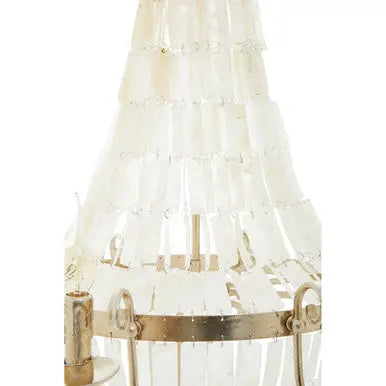 Elena 8 Bulb Seashell Chandelier
