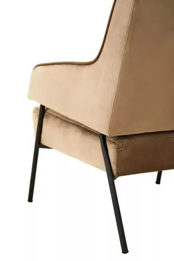 Mink Velvet Chair | Henia