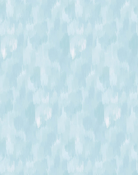 Palm