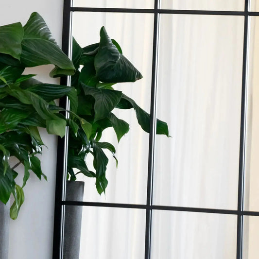 Tomi - Full Length Black Arched Window Mirror - 180cm x 105cm.