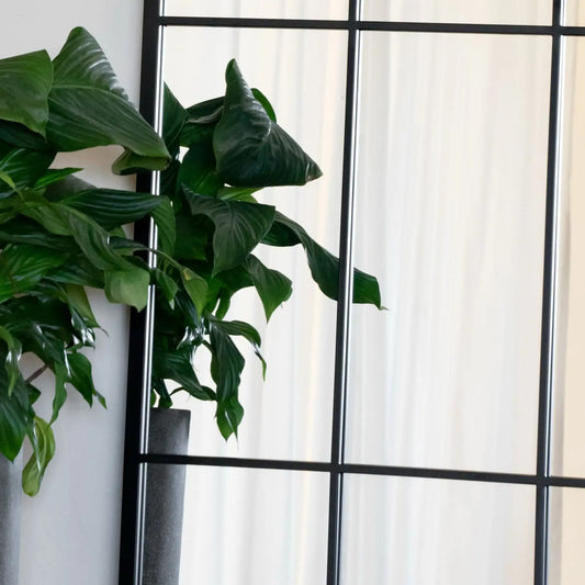 Tomi- Full Length Black Metal Arched Lattice Window Mirror - 200cm x 120cm