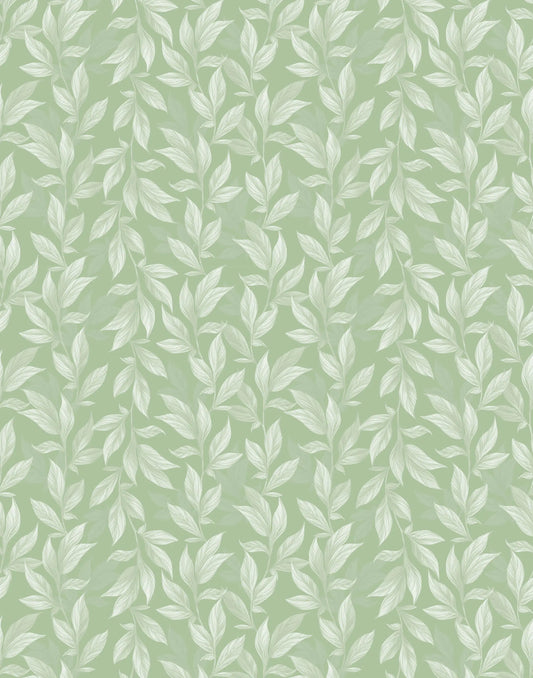 Vine