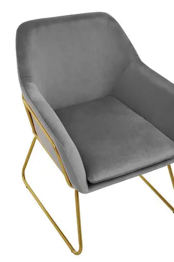 Xander Grey Velvet Accent Chair with Gold Finish Legs
