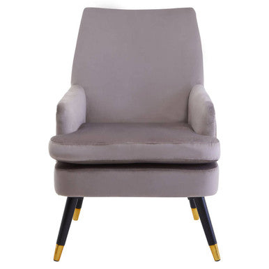 Loretta Mink Velvet Accent Chair with Gold Tipped Legs