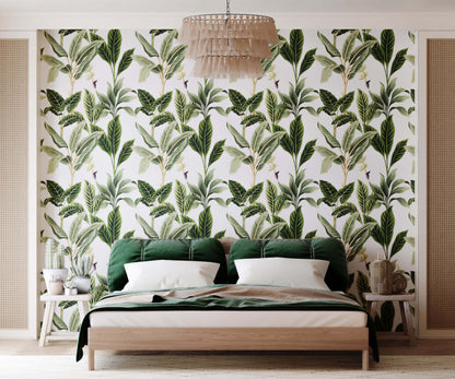Flora