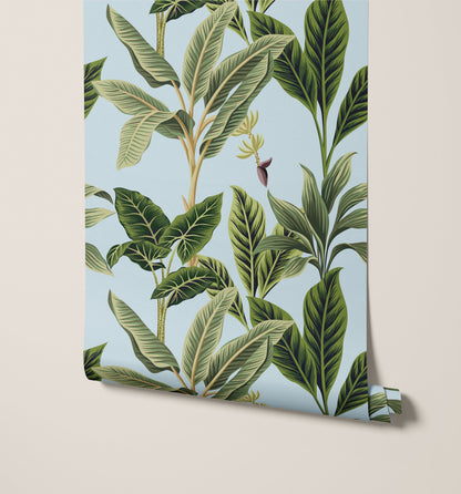 Flora