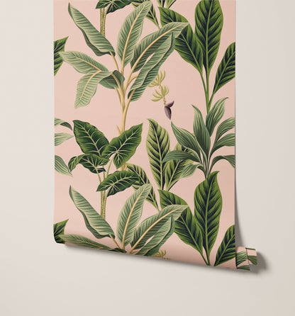 Flora