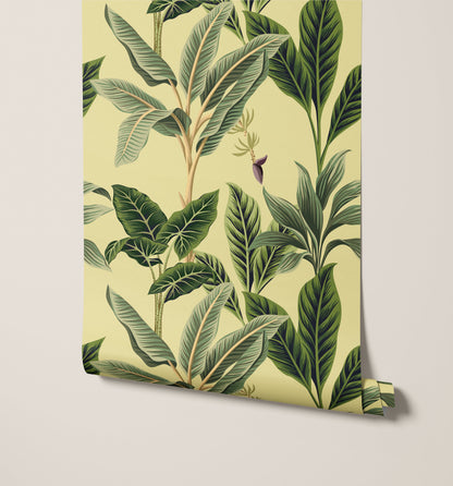 Flora