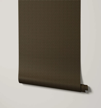 Agni