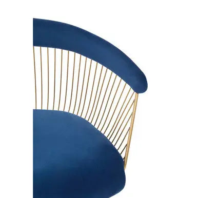 Anzio Navy Blue Velvet Chair with Brushed Gold Frame