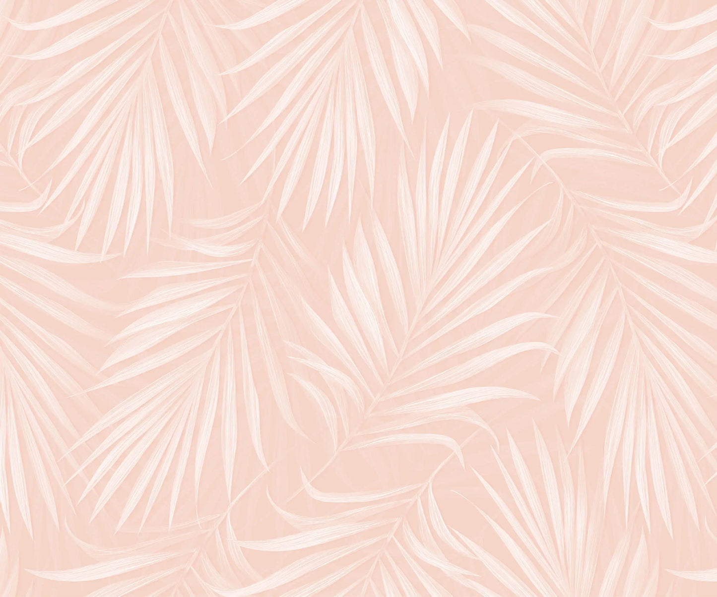 Areca