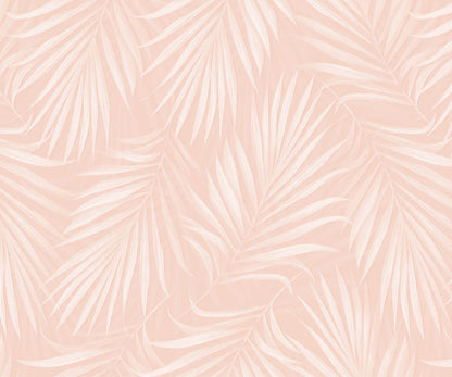 Areca