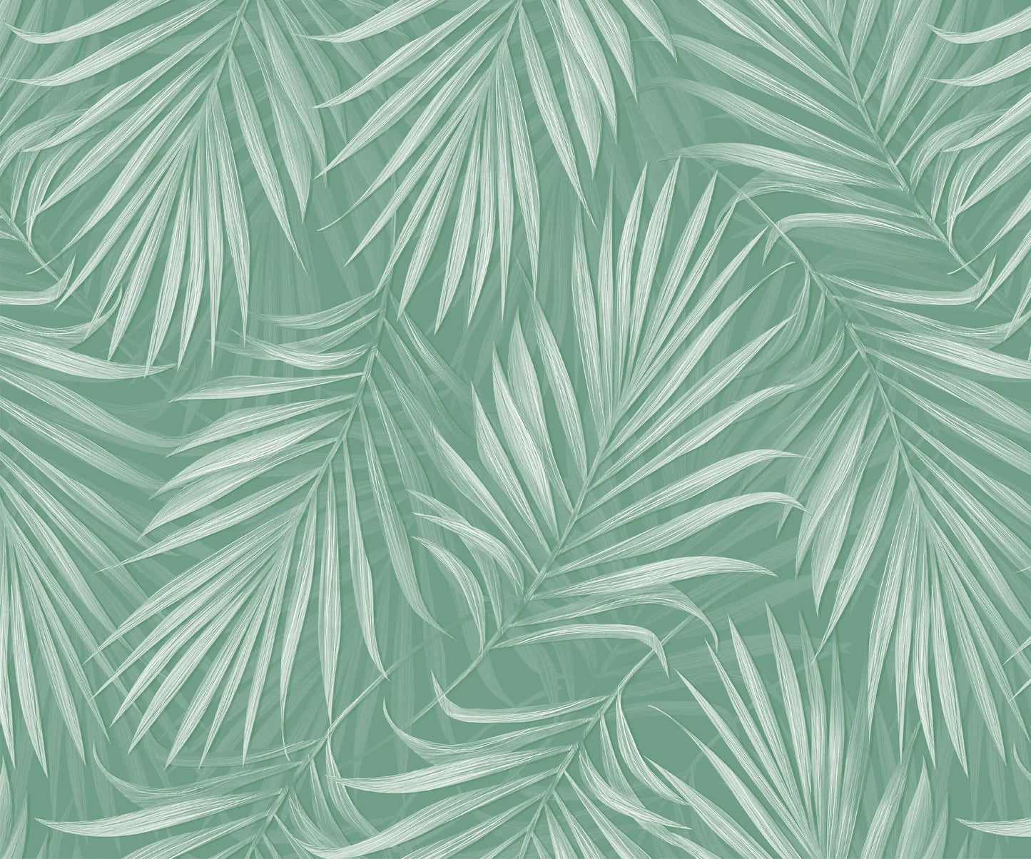 Areca