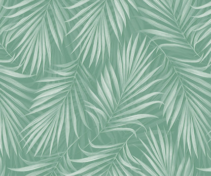 Areca