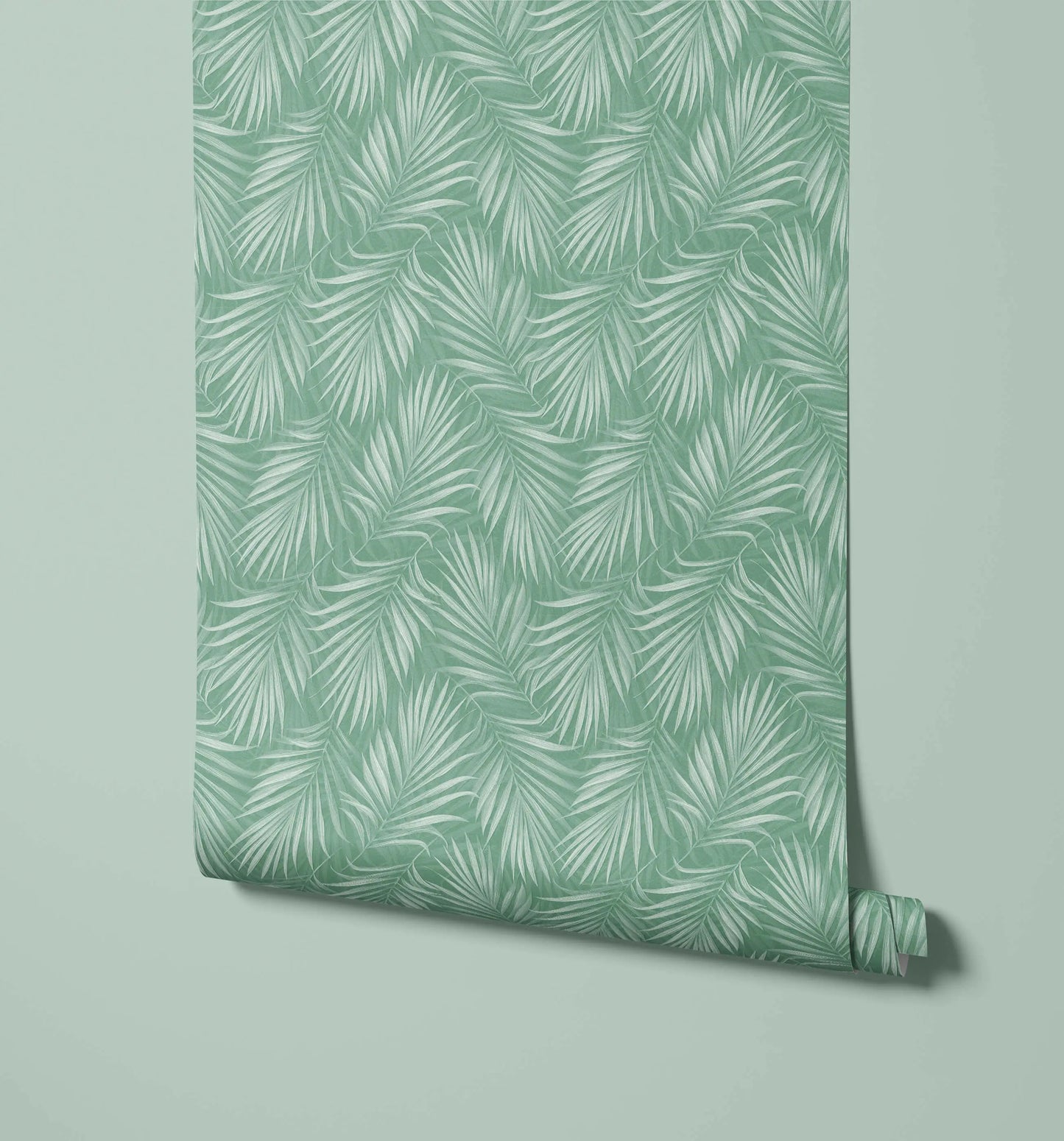 Areca