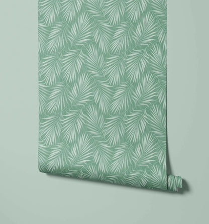 Areca