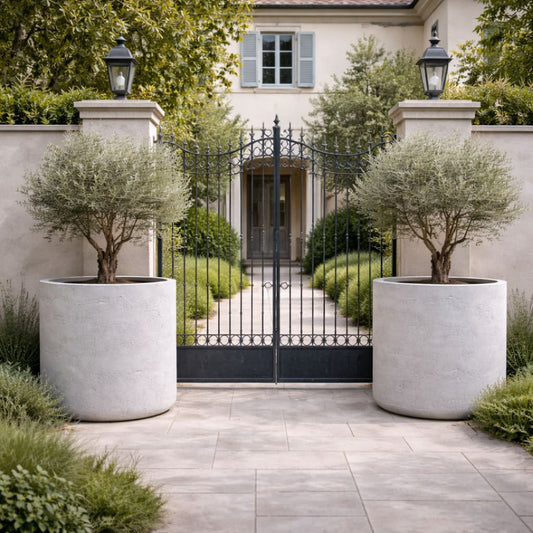 Aurella | White Mist – 100cm XXL Concrete Cylinder Planter – 621L Round Plant Pot - Pots & Plants