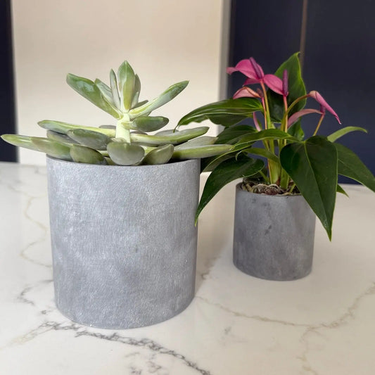 Aurello | Brushed Grey Stone Resin Indoor Plant Pots (Set of 2)