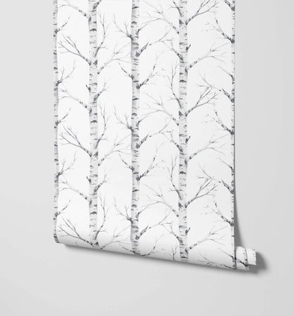 Birch