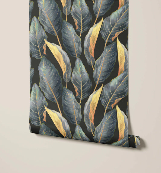 Calathea