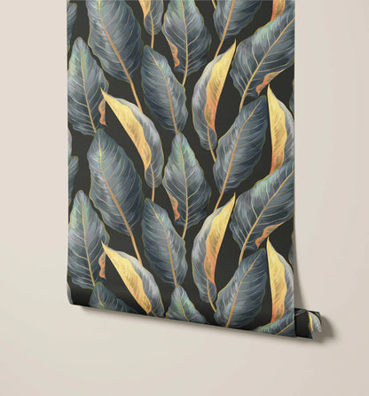 Calathea