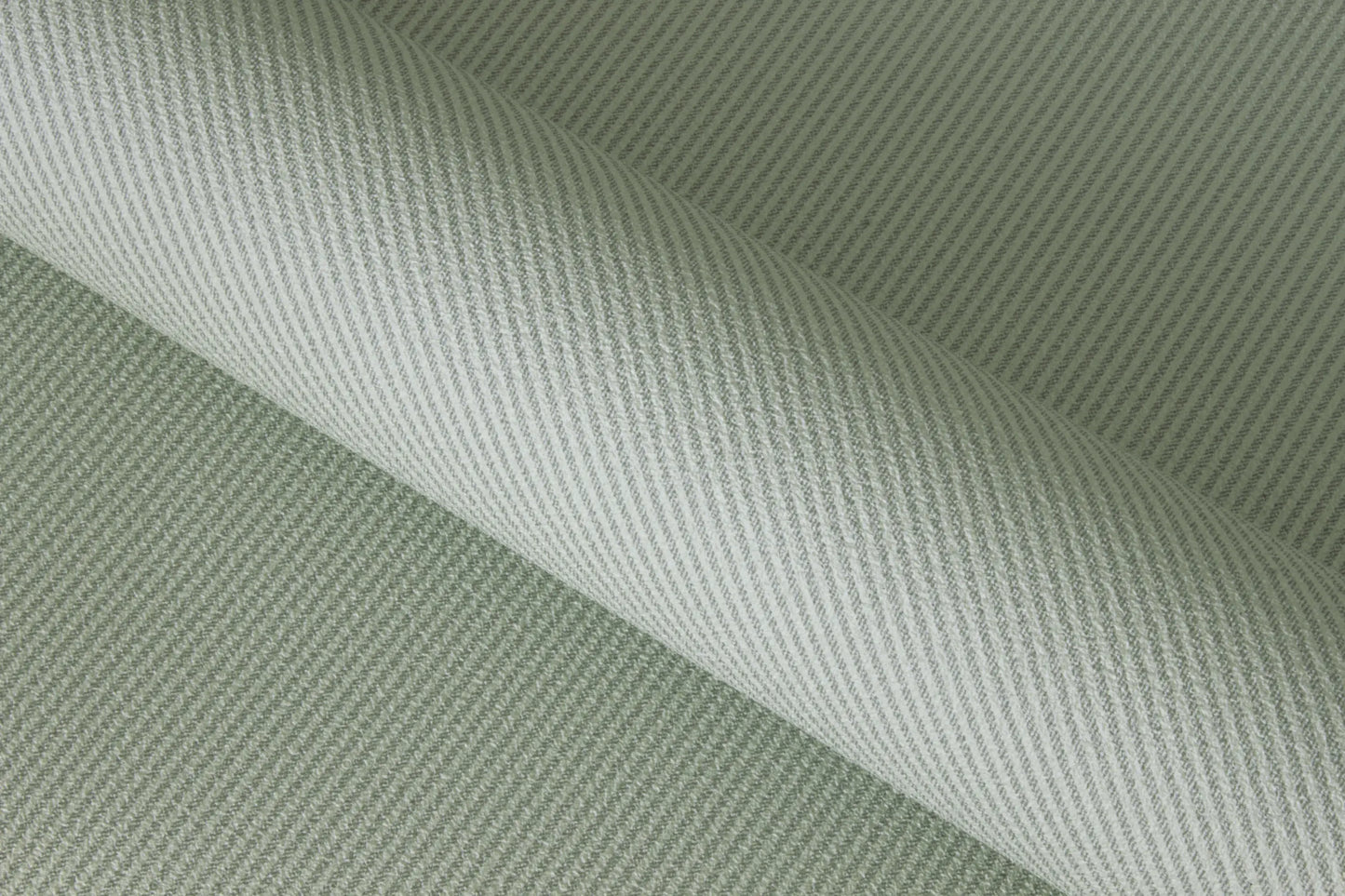 Capital