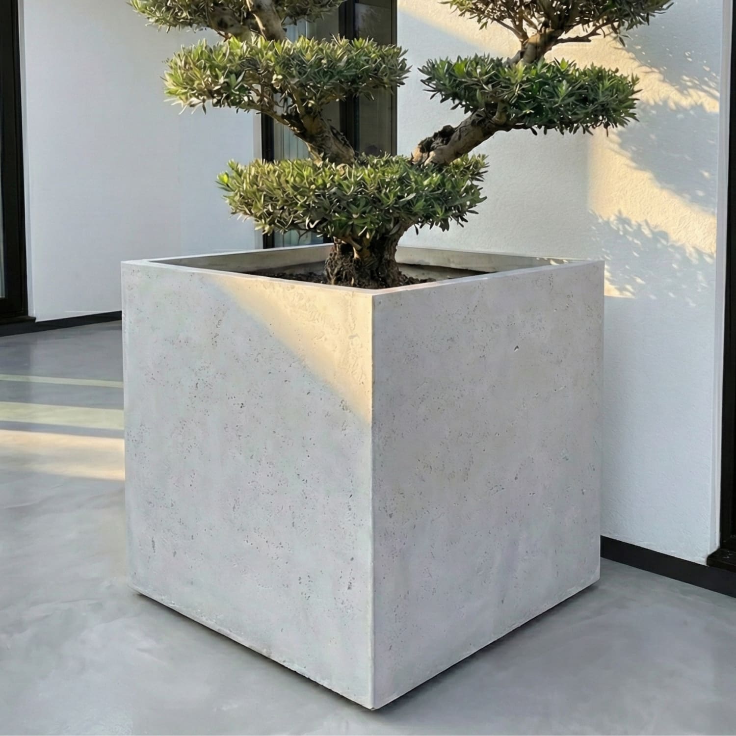 Cubrosa | White Mist – 100cm XXL Square Concrete Planter – 782L Large Outdoor Plant Pot - Pots & Plants