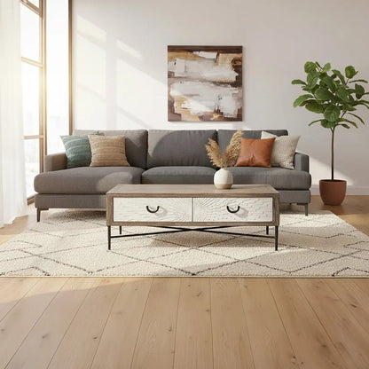 Dark Mud Grey Recycled Elm Wood Coffee Table with Two Storage Drawers and Metal Frame, Milan