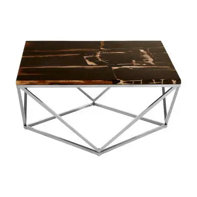 Dark Petrified Wood Top Coffee Table with Prominent Graining and Silver Stainless Steel Frame, Relic