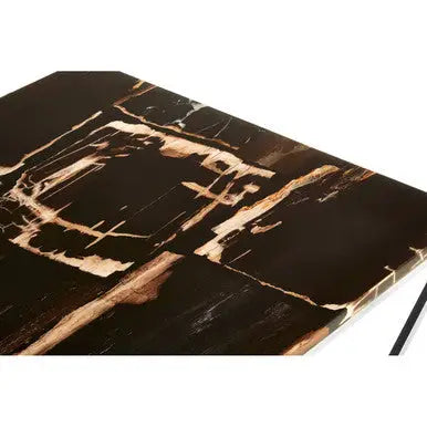 Dark Petrified Wood Top Coffee Table with Prominent Graining and Silver Stainless Steel Frame, Relic