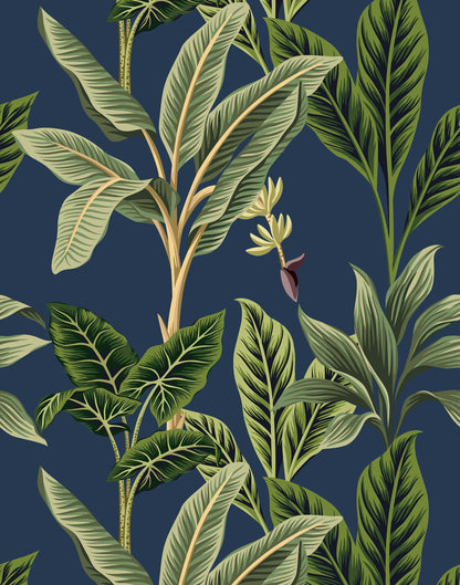 Flora