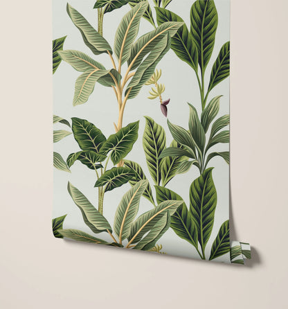 Flora