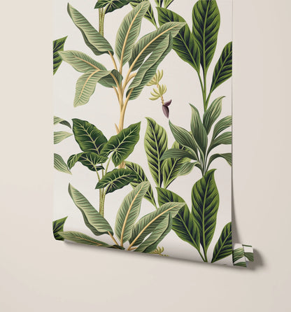Flora