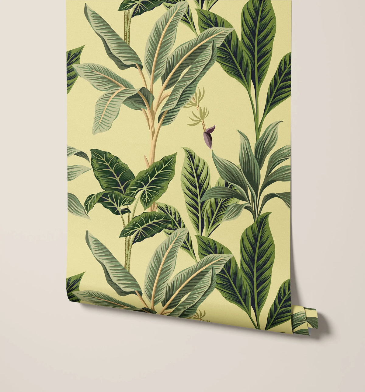Flora