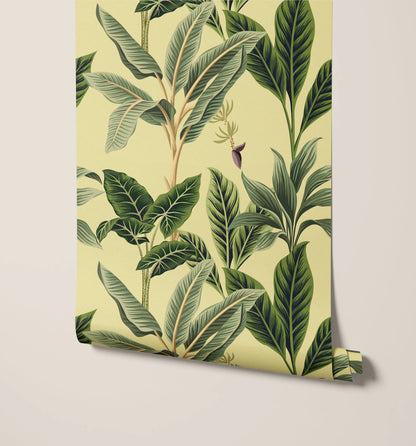 Flora