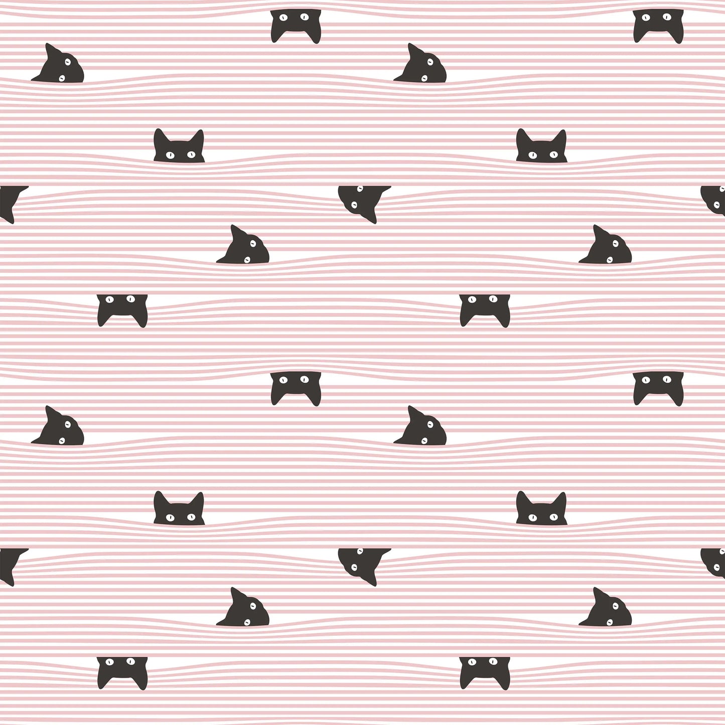 Gato