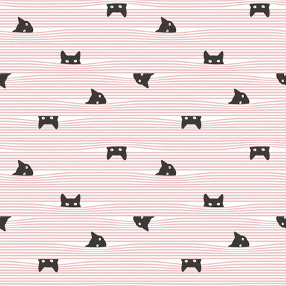 Gato