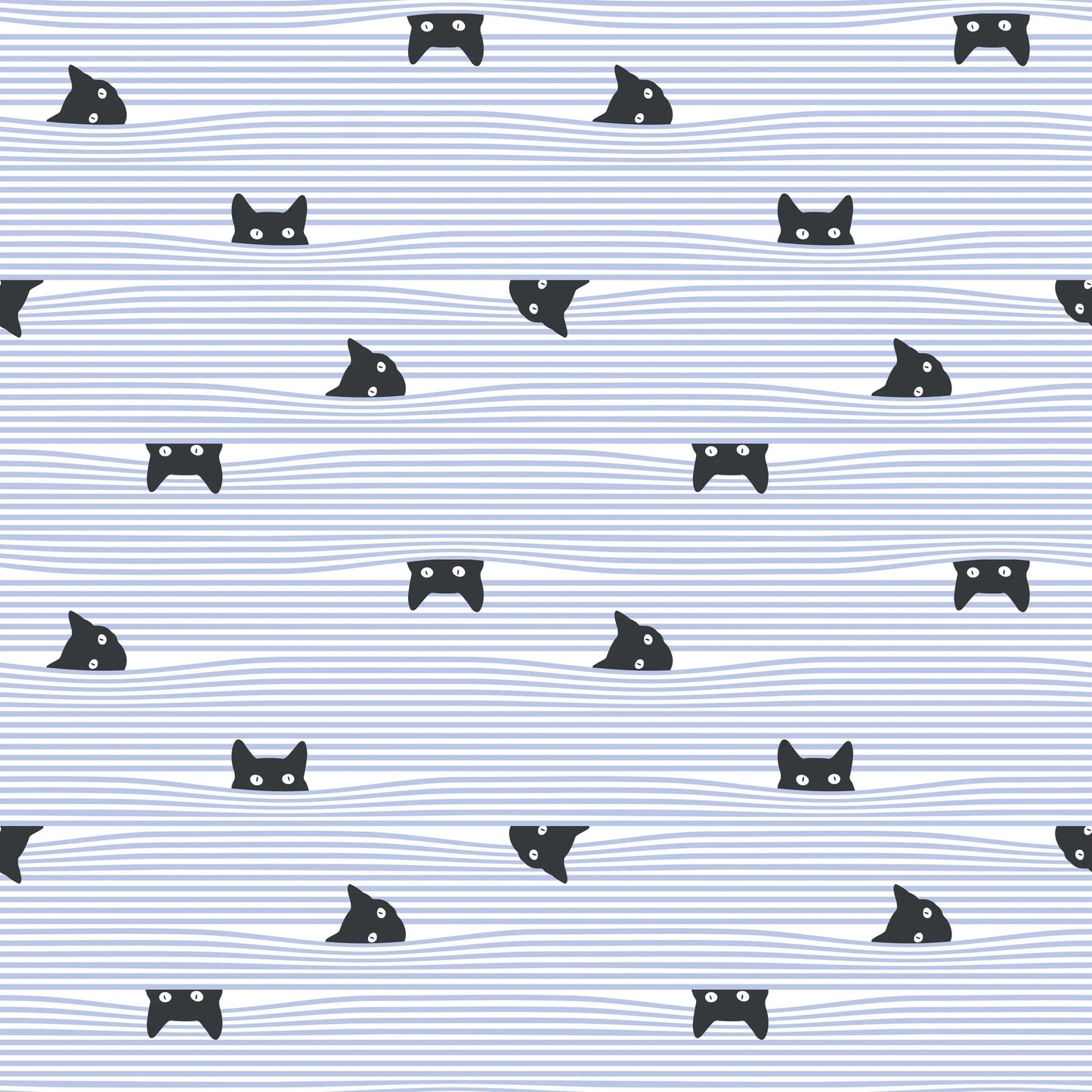 Gato