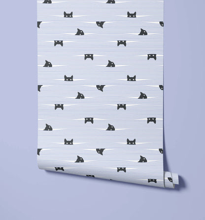 Gato