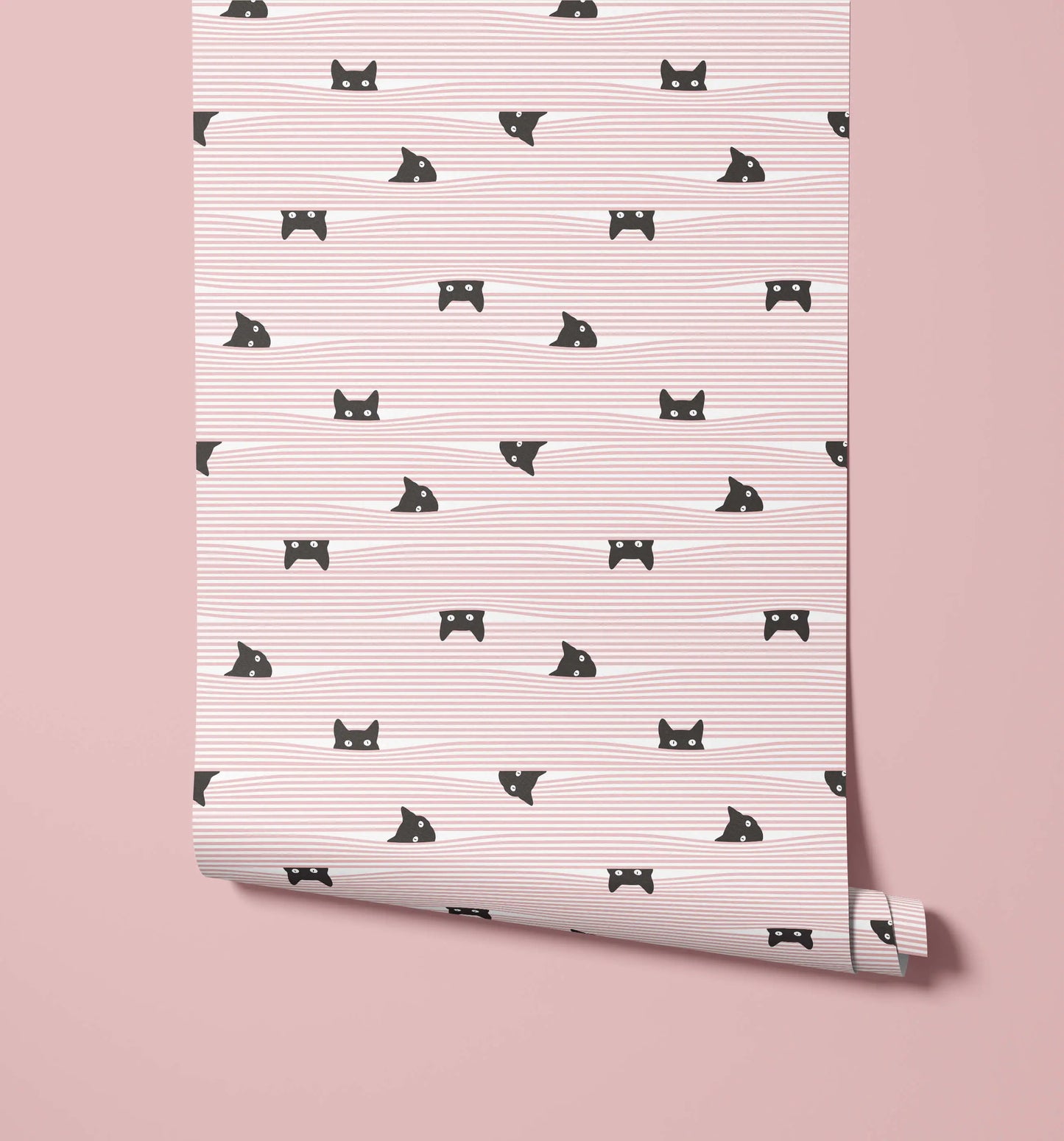 Gato