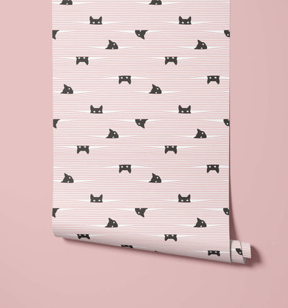 Gato