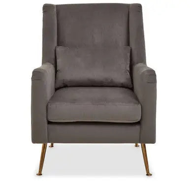 Grey Velvet Chair with Gold Finish Legs | Doucet