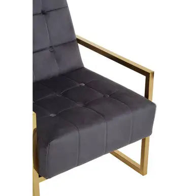 Grey Velvet Chair with Gold Frame | Hana