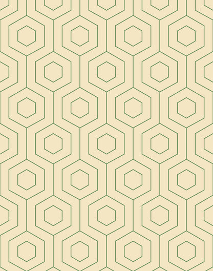 Hive