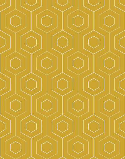 Hive