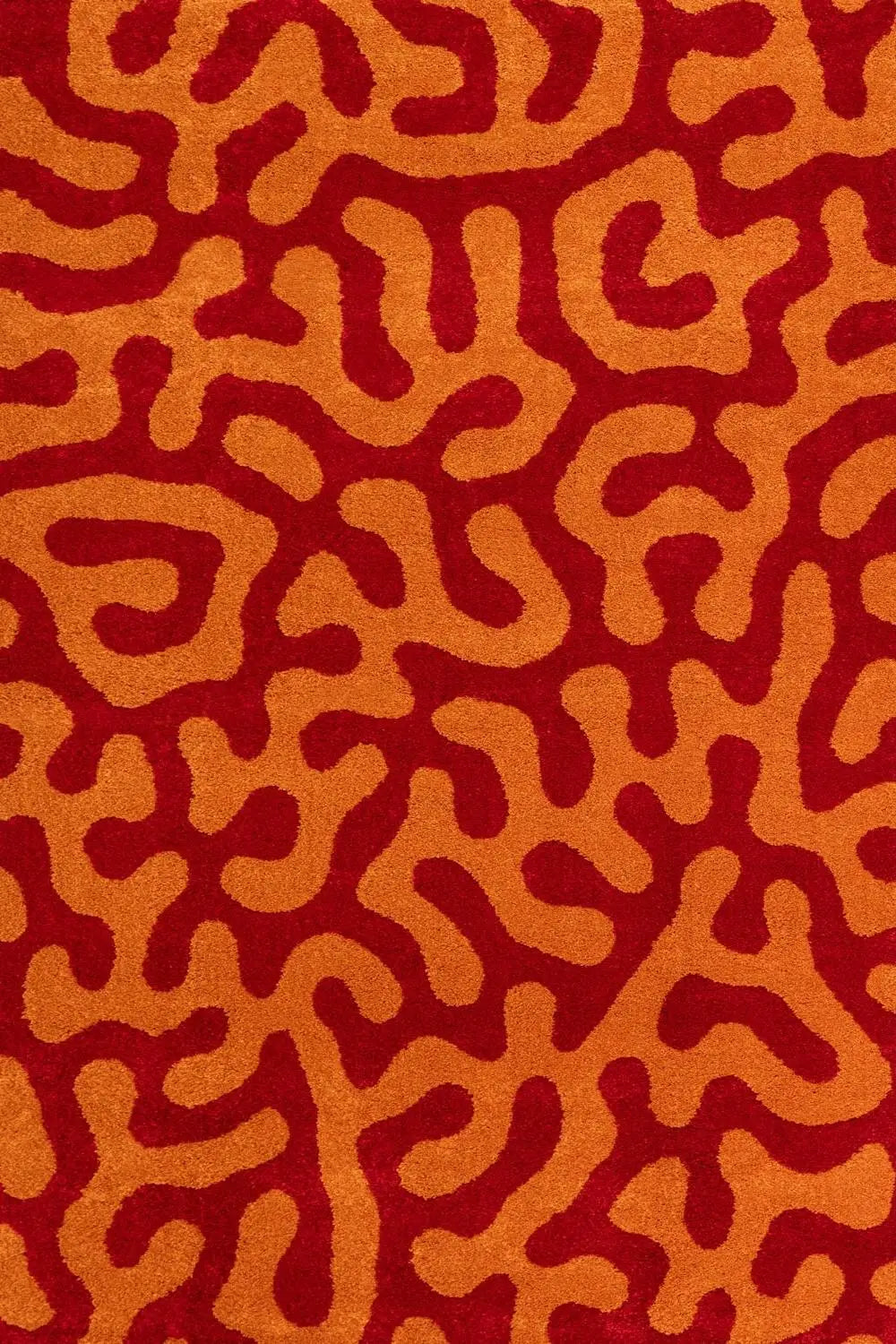 Joli Doodle Red & Orange Rug