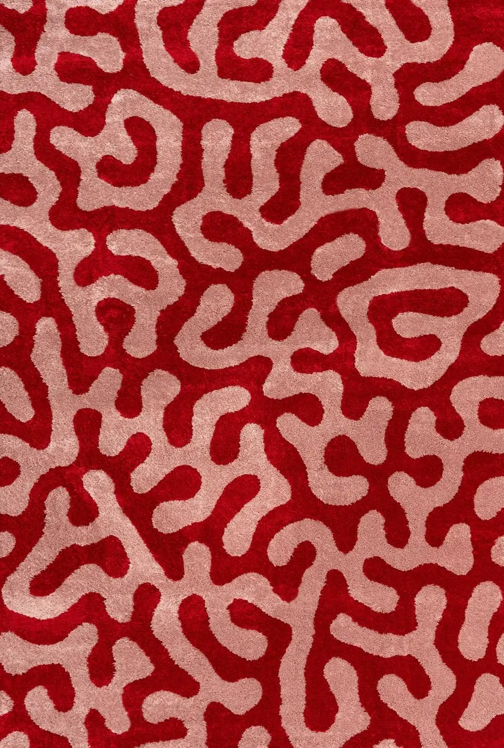 Joli Doodle Red & Pink Rug