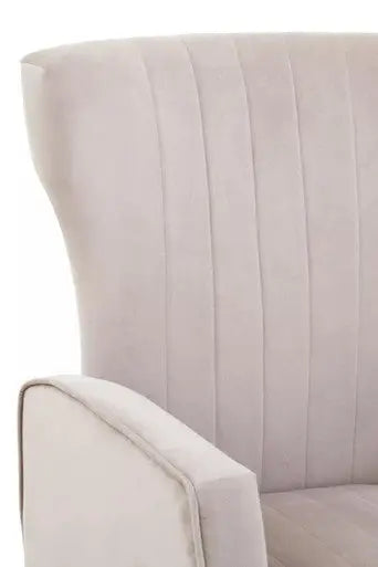Mink Velvet Accent Chair With Gold Finish Legs | Zamora