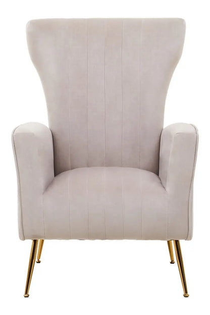 Mink Velvet Accent Chair With Gold Finish Legs | Zamora